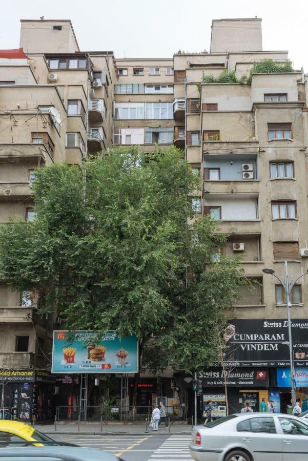 Petite Maison Sur Le Boulevard Βουκουρέστι Εξωτερικό φωτογραφία